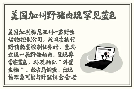 A级**无码 费看蚯蚓